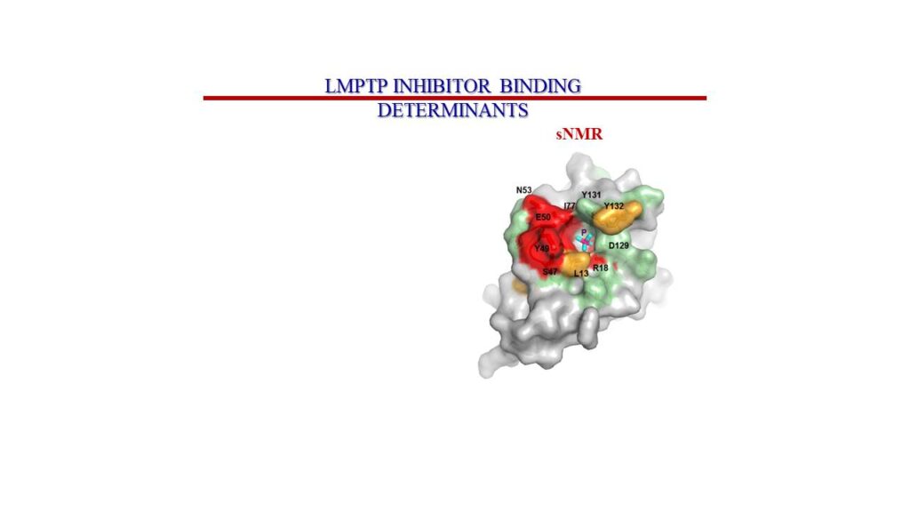 Inhibitor Binding