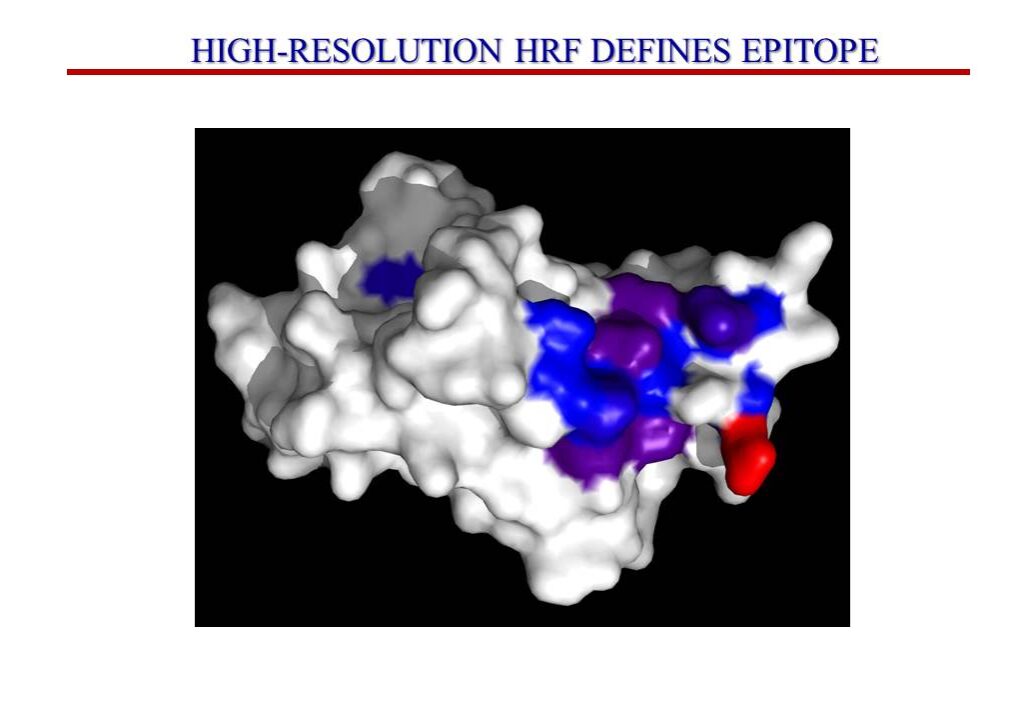 Epitope