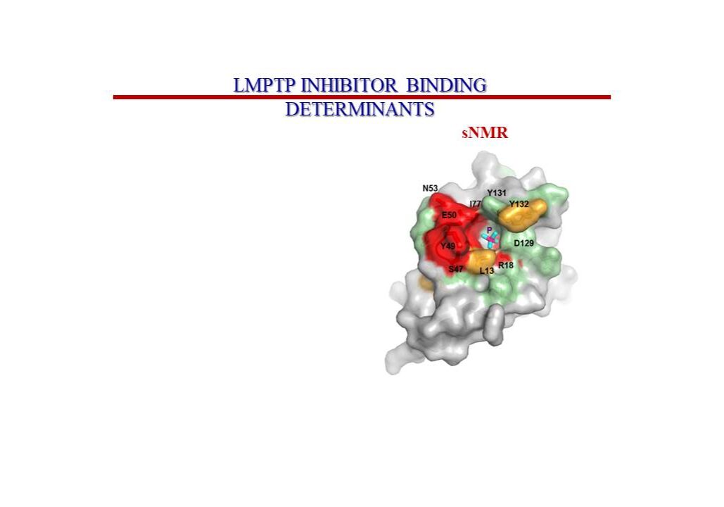Inhibitor Binding